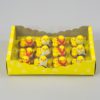 thumbnail-image