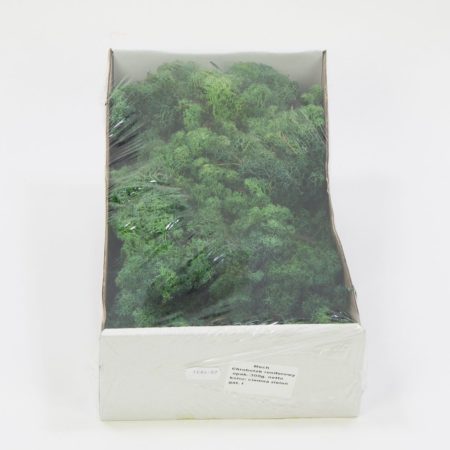 thumbnail-image