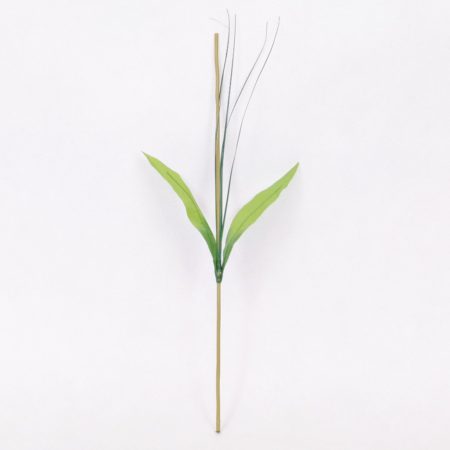 thumbnail-image