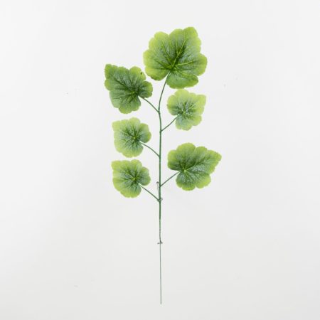 thumbnail-image