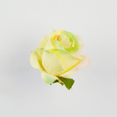 thumbnail-image