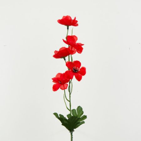 thumbnail-image