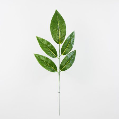thumbnail-image