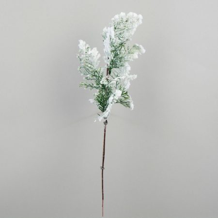 thumbnail-image