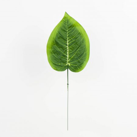 thumbnail-image