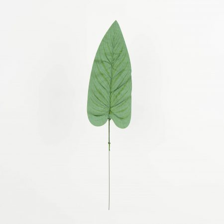 thumbnail-image