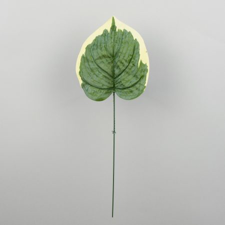 thumbnail-image