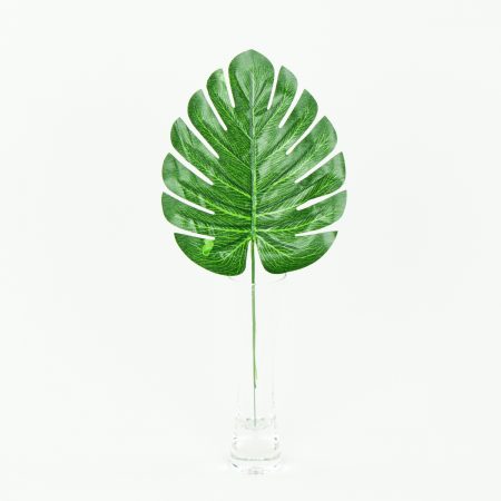 thumbnail-image