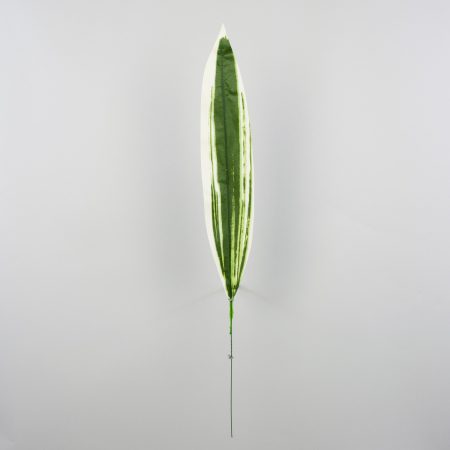 thumbnail-image