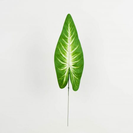 thumbnail-image