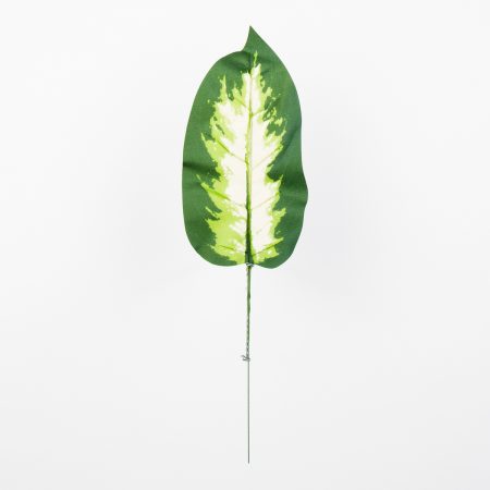 thumbnail-image