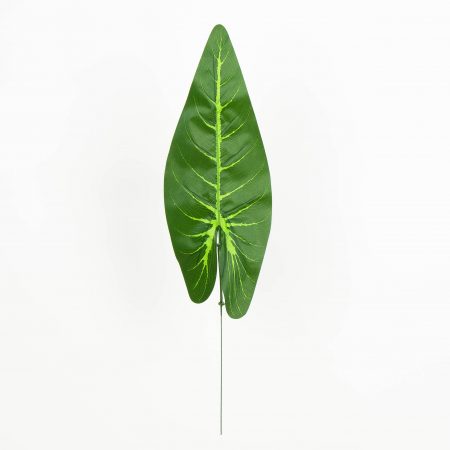 thumbnail-image