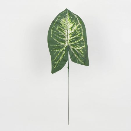 thumbnail-image