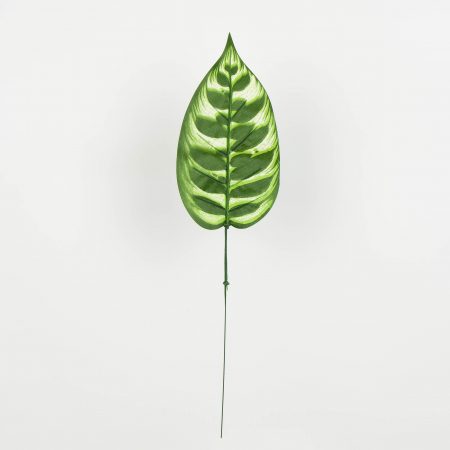 thumbnail-image