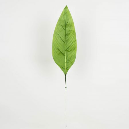 thumbnail-image