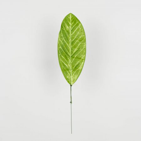 thumbnail-image