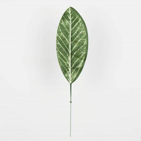 thumbnail-image