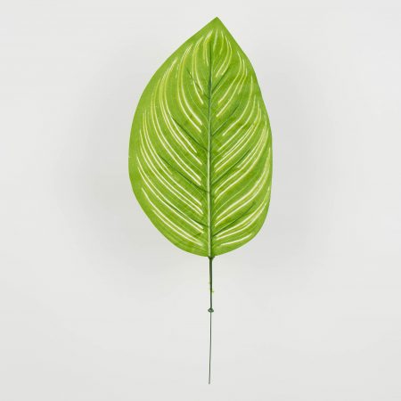 thumbnail-image