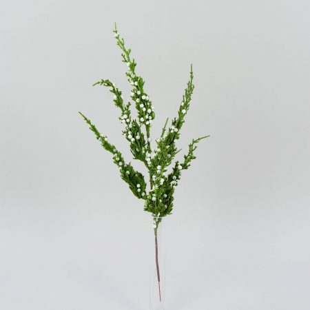 thumbnail-image