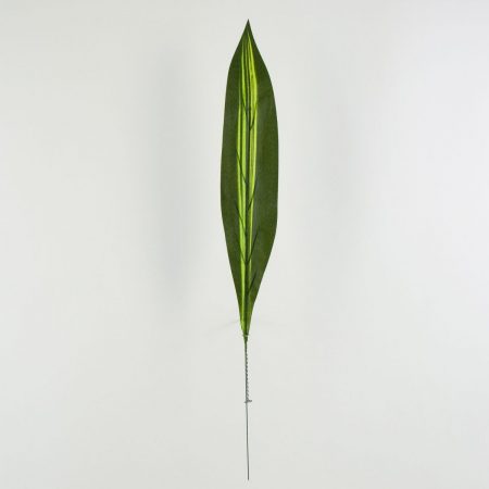 thumbnail-image