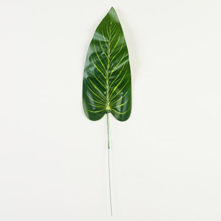 thumbnail-image