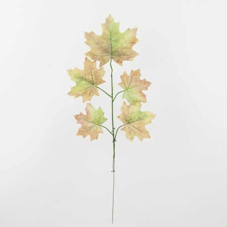 thumbnail-image