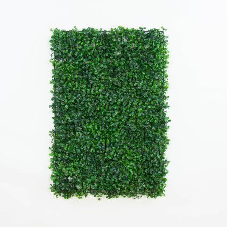 thumbnail-image