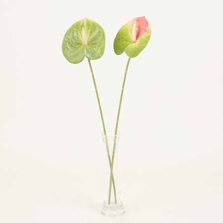 thumbnail-image