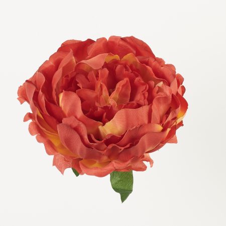 thumbnail-image