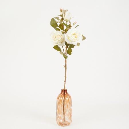 thumbnail-image