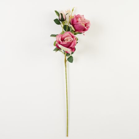 thumbnail-image
