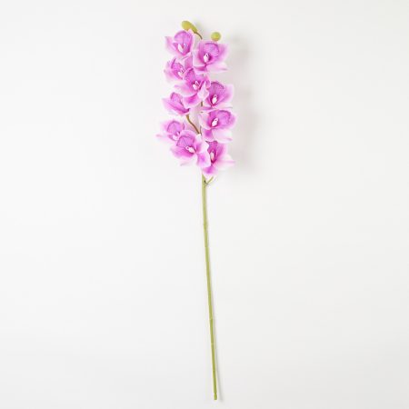 thumbnail-image