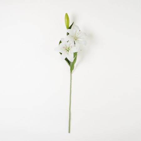 thumbnail-image
