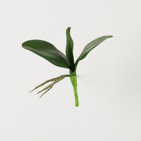 thumbnail-image