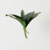 thumbnail-image
