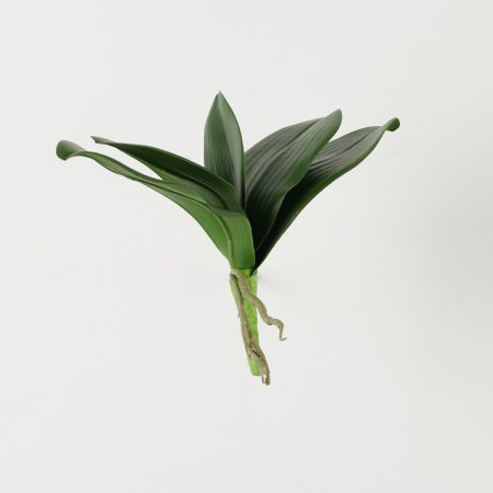 thumbnail-image