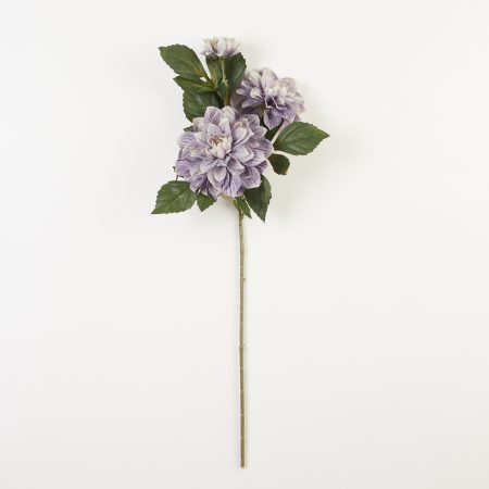 thumbnail-image