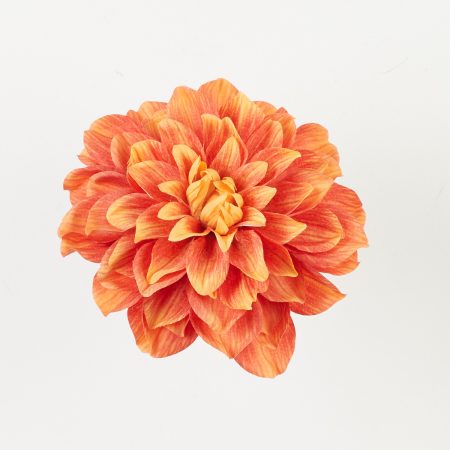 thumbnail-image