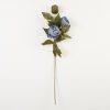 thumbnail-image