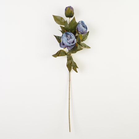 thumbnail-image