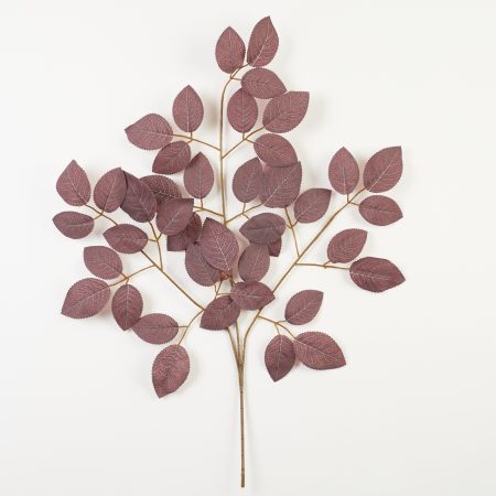 thumbnail-image
