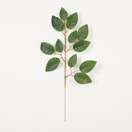 thumbnail-image
