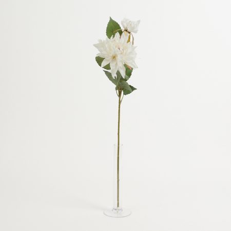thumbnail-image