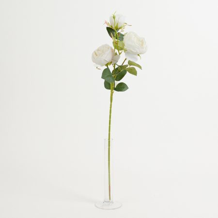 thumbnail-image
