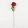 thumbnail-image