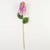 thumbnail-image