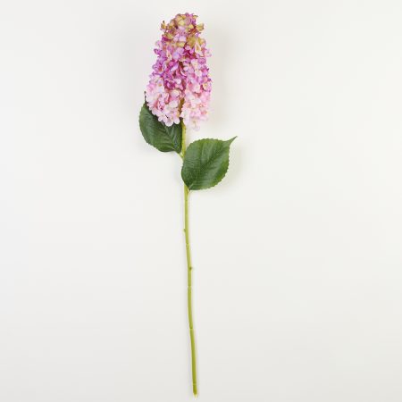 thumbnail-image