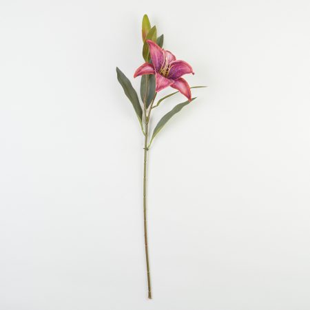 thumbnail-image