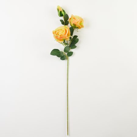 thumbnail-image