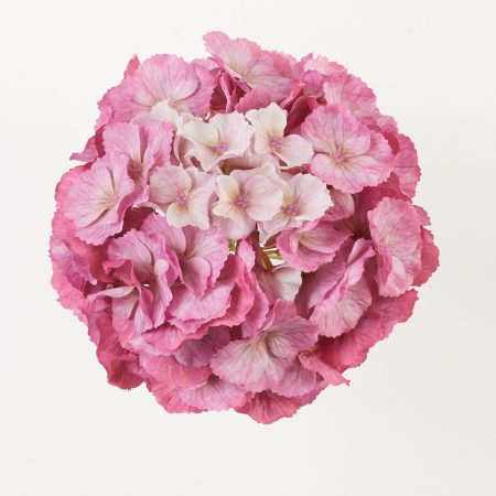 thumbnail-image